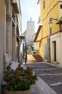 Flowers in city