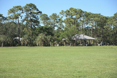 Trees on field against clear sky