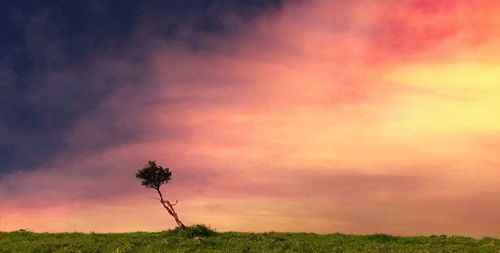 Scenic view of field against cloudy sky