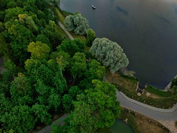 High angle view of trees by sea