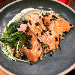 High angle view of meal served in plate