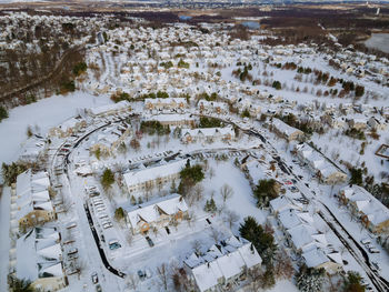 High angle view of snow covered plants