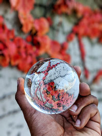 Close-up of hand holding crystal ball against autumn leaves