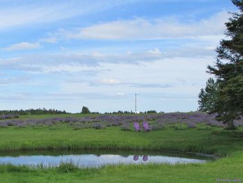 Scenic view of grassy field against cloudy sky