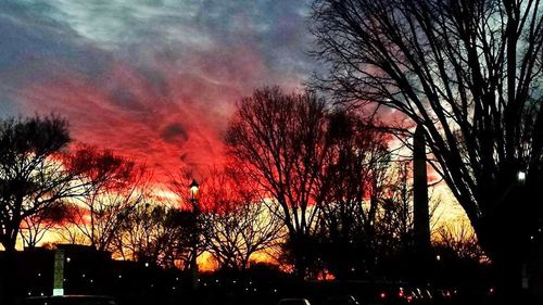 Low angle view of bare trees against sky at sunset