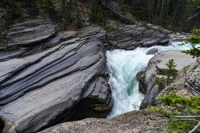 Scenic view of waterfall in forest