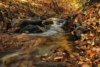 Stream flowing through rocks in forest