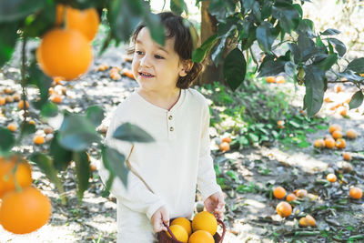 A little boy is holding a basket of bright oranges in his hands.