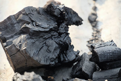 Close-up of logs on rock