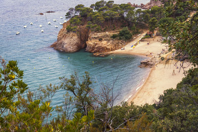 High angle view of sea and trees
