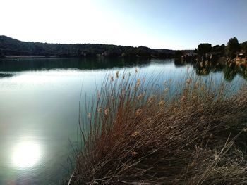 Scenic view of lake against clear sky