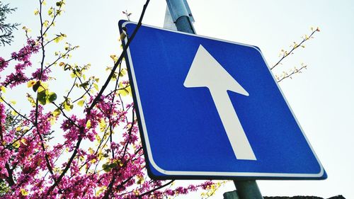 Low angle view of road sign