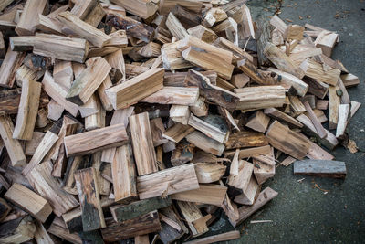 High angle view of logs on field in forest