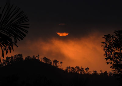 View of silhouette trees against sky at night