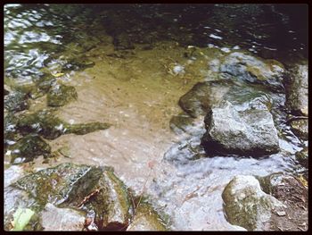 Rocks in stream