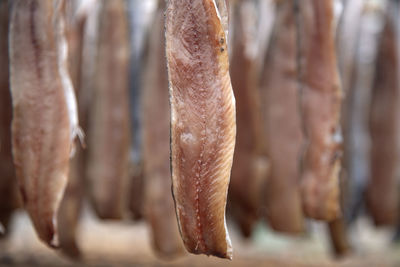 Close-up of drying fishes which are herrings and saury