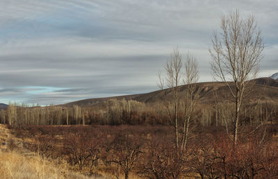 Agricultural field against sky