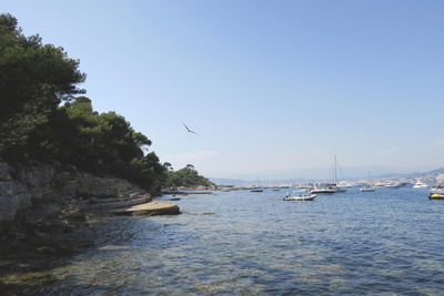 Boats sailing in sea against clear sky