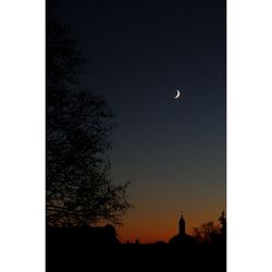 Low angle view of silhouette trees against sky at dusk