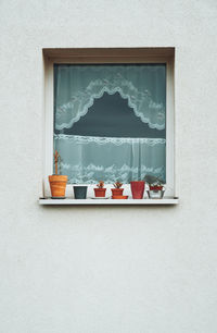 Close-up of window on wall of building