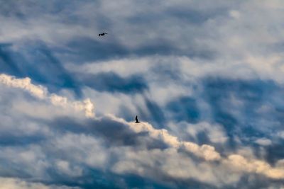 Low angle view of airplane flying in sky