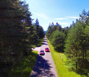 High angle view of road along trees