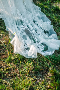 Close-up of snow on field