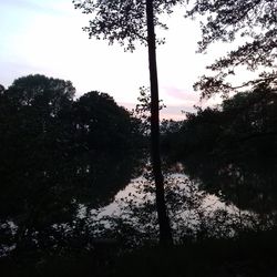 Low angle view of silhouette trees by lake against sky