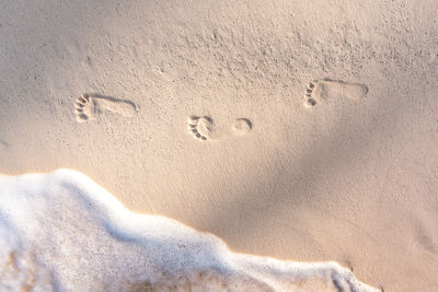 High angle view of footprints on sand