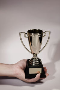 Cropped hand holding trophy