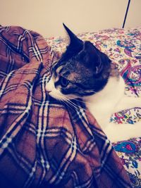 Cat resting on bed at home