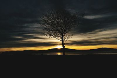 Silhouette bare tree against sky during sunset