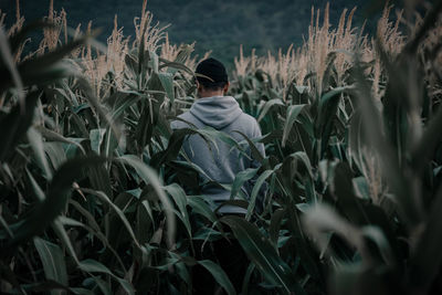 Rear view of man standing in field