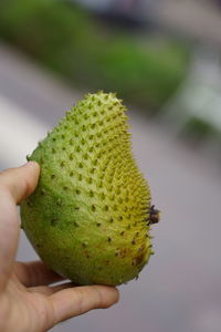 Close-up of hand holding fruit