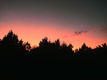 Silhouette trees against sky at sunset