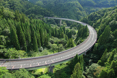 High angle view of road amidst trees in forest