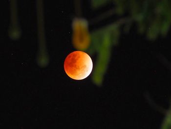 Close-up of orange moon