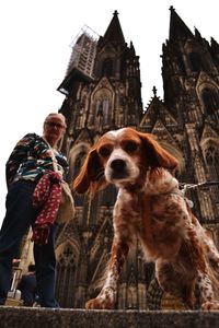 Low angle view of dog and woman standing against building