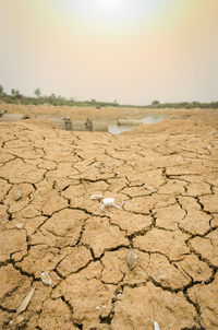 Close-up of cracked land