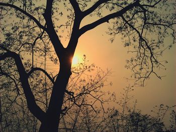 Low angle view of bare trees against sky at sunset