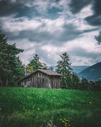 Plants growing on field against sky