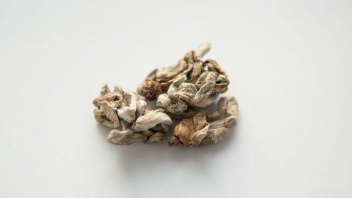 Close-up of dried food against white background