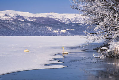 Snowy scenery of lake kussharo in winter