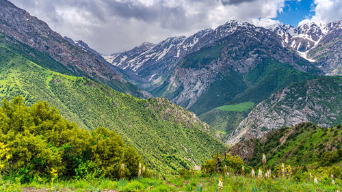 mountain