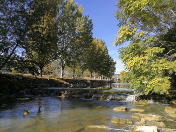 Scenic view of river by trees against sky