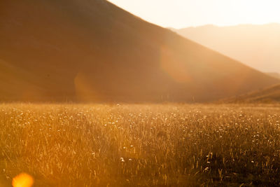 Idyllic shot of landscape against silhouette mountains during sunset