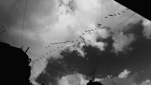 Low angle view of bird flying against cloudy sky