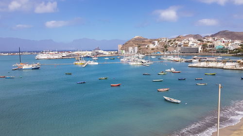 Sailboats moored in harbor