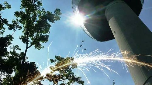 Low angle view of trees against sky