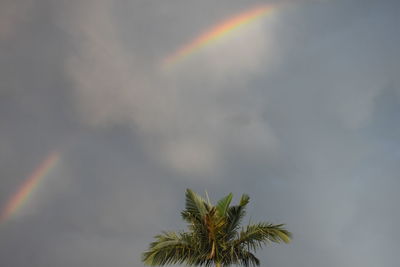 Rainbow against sky